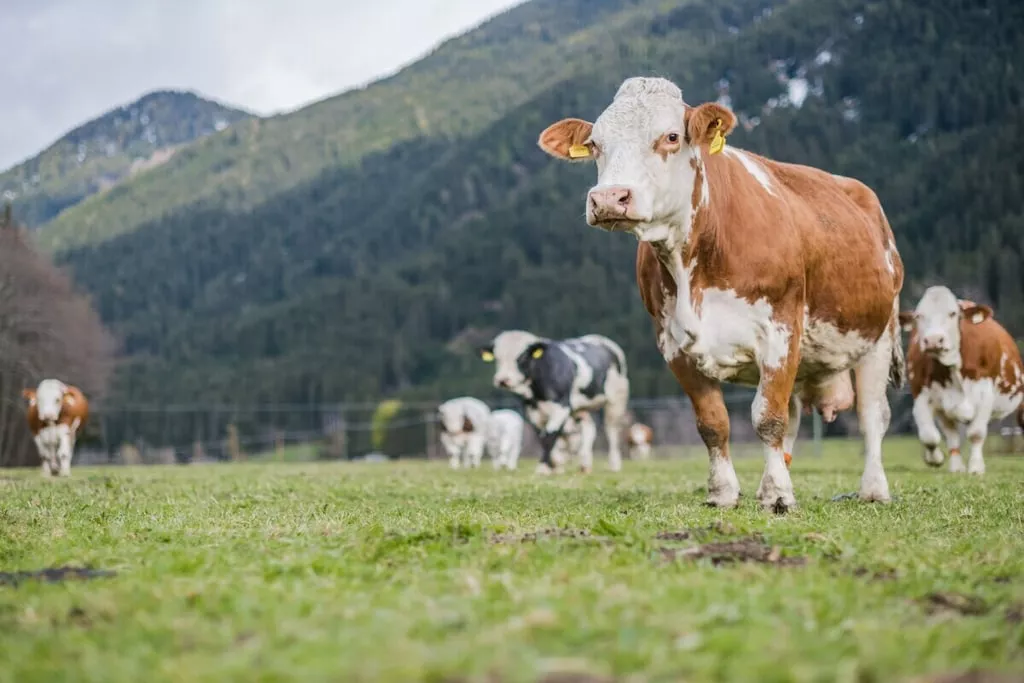 87182-Nicht zugeordnet