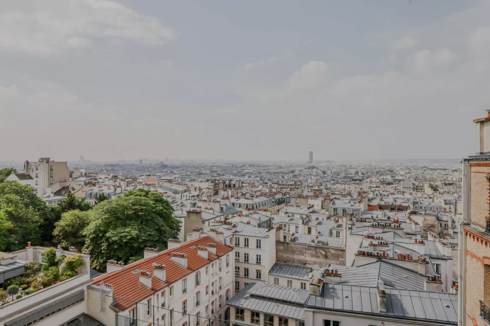 LT-90-LEPIC-RP-Untagged