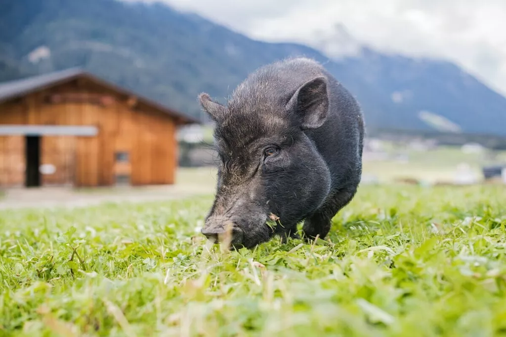 87182-Nicht zugeordnet
