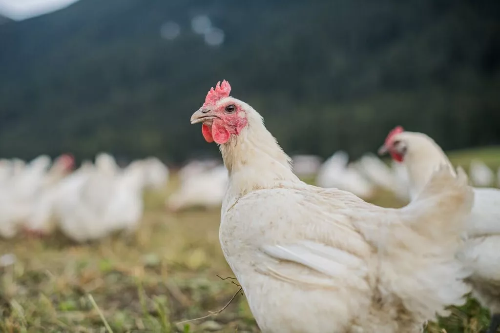 87182-Nicht zugeordnet