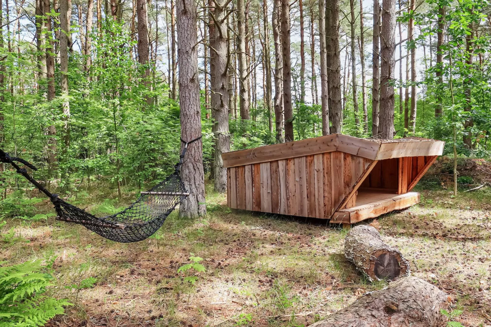 5 etoiles maison de vacances a Læsø-By Traum - Vue