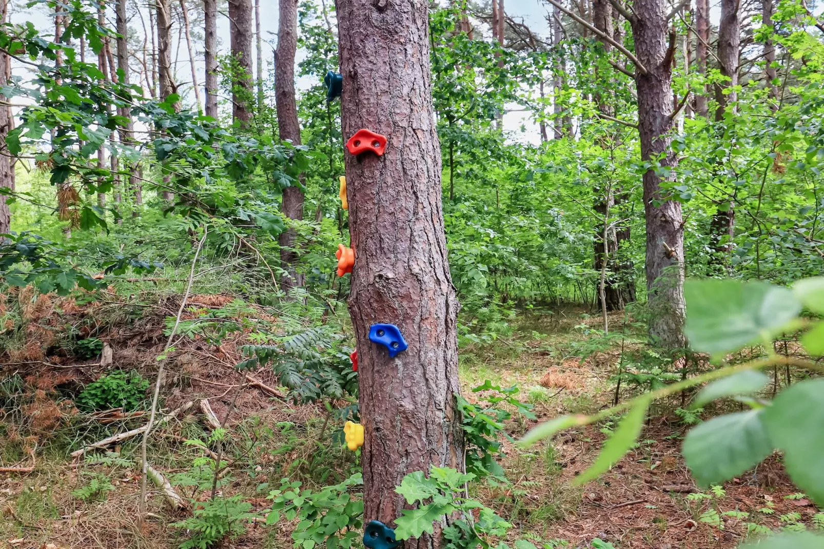 5 etoiles maison de vacances a Læsø-By Traum - Vue