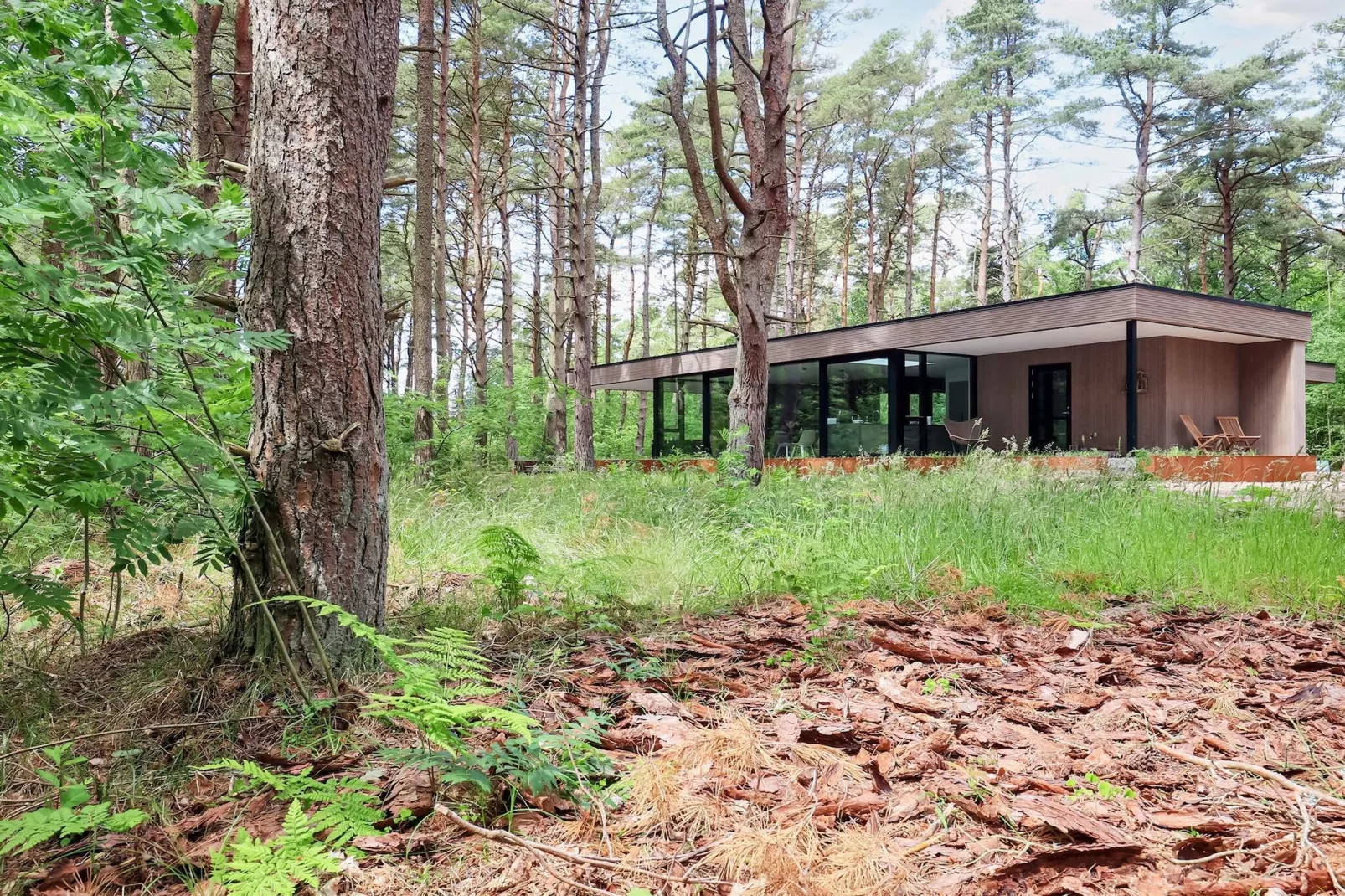 5 etoiles maison de vacances a Læsø-By Traum - Vue