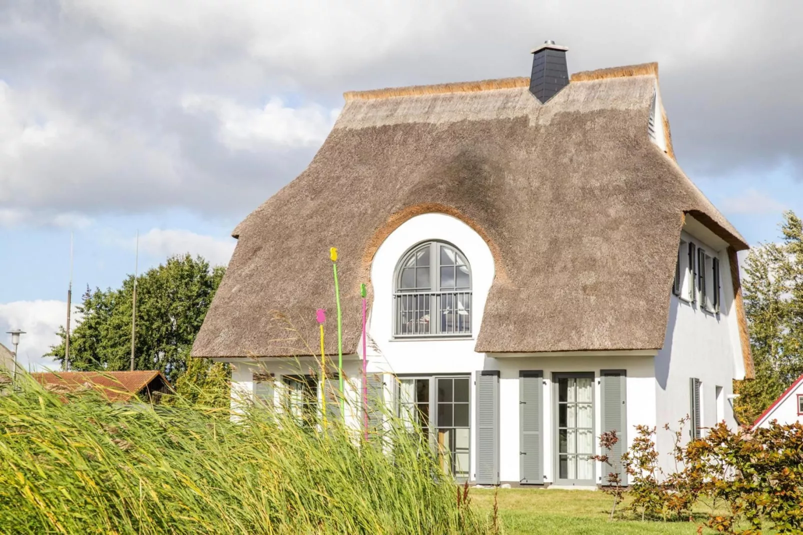 Schilfrohrsänger 54-Exterior in summer