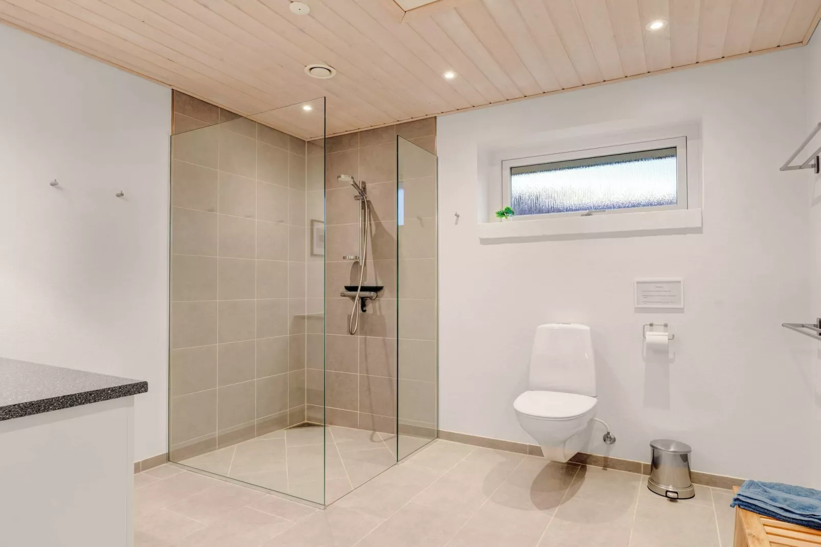 4 Sterne Ferienhaus in Esbjerg V-Innenbereich