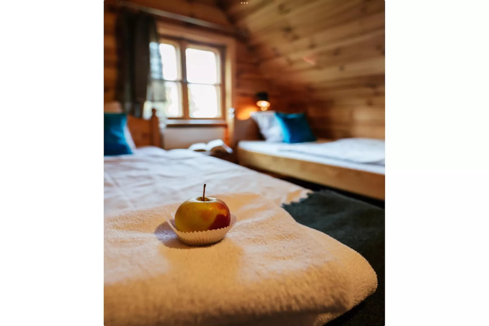 Dom przy drodze Skansen dla 9 osób Bełczna-Chambre