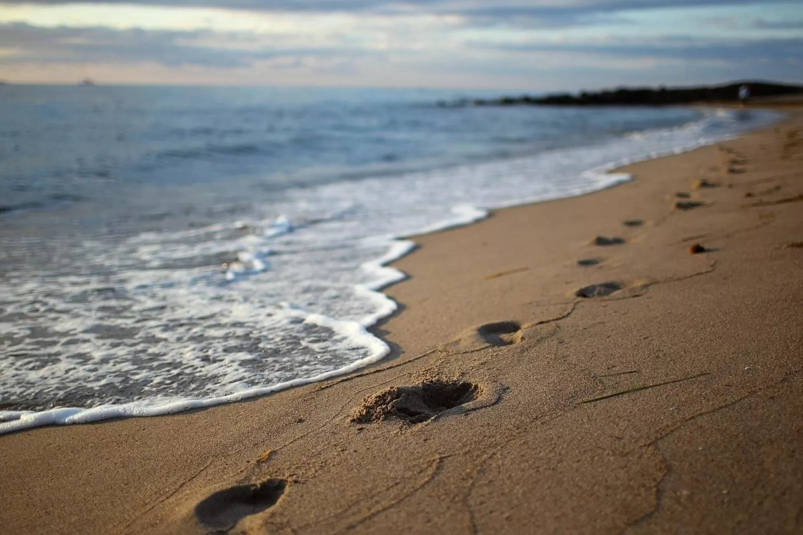 Seepark Sellin - 3 Personen - Image-tags.water view