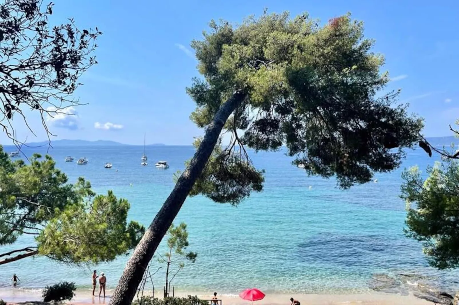 Résidence Un Jardin Au Bord De La M&eacute;diterran&eacute;e-Untagged