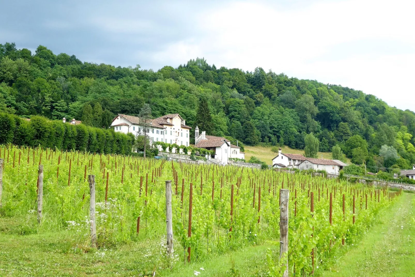 Appartamento Merlot-Außenbereich Sommer