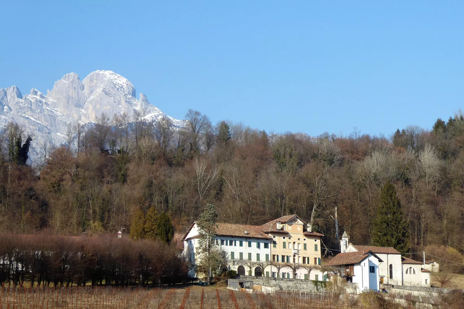 Appartamento Merlot-Außenbereich Sommer
