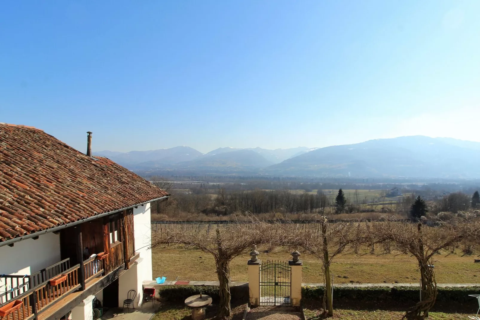 Appartamento Merlot-Aussicht Sommer