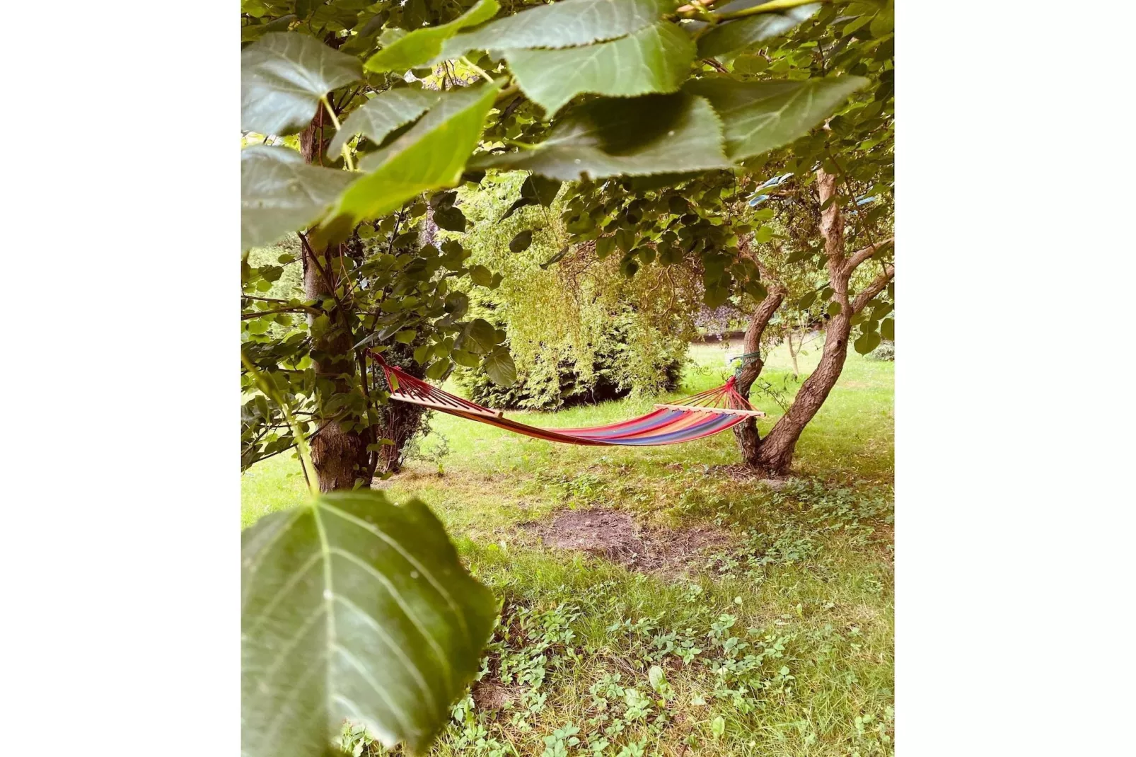 Dom przy drodze Skansen dla 9 osób Bełczna-Jardins en été