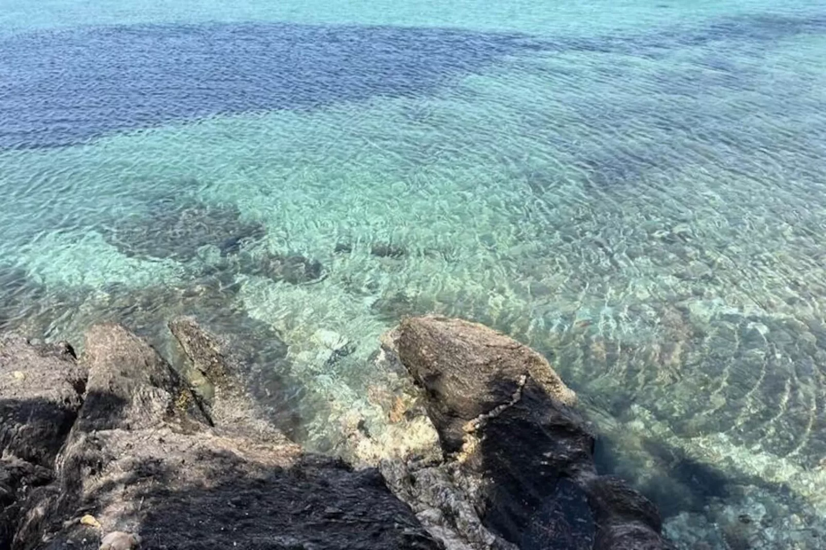 Résidence Un Jardin Au Bord De La M&eacute;diterran&eacute;e-Untagged
