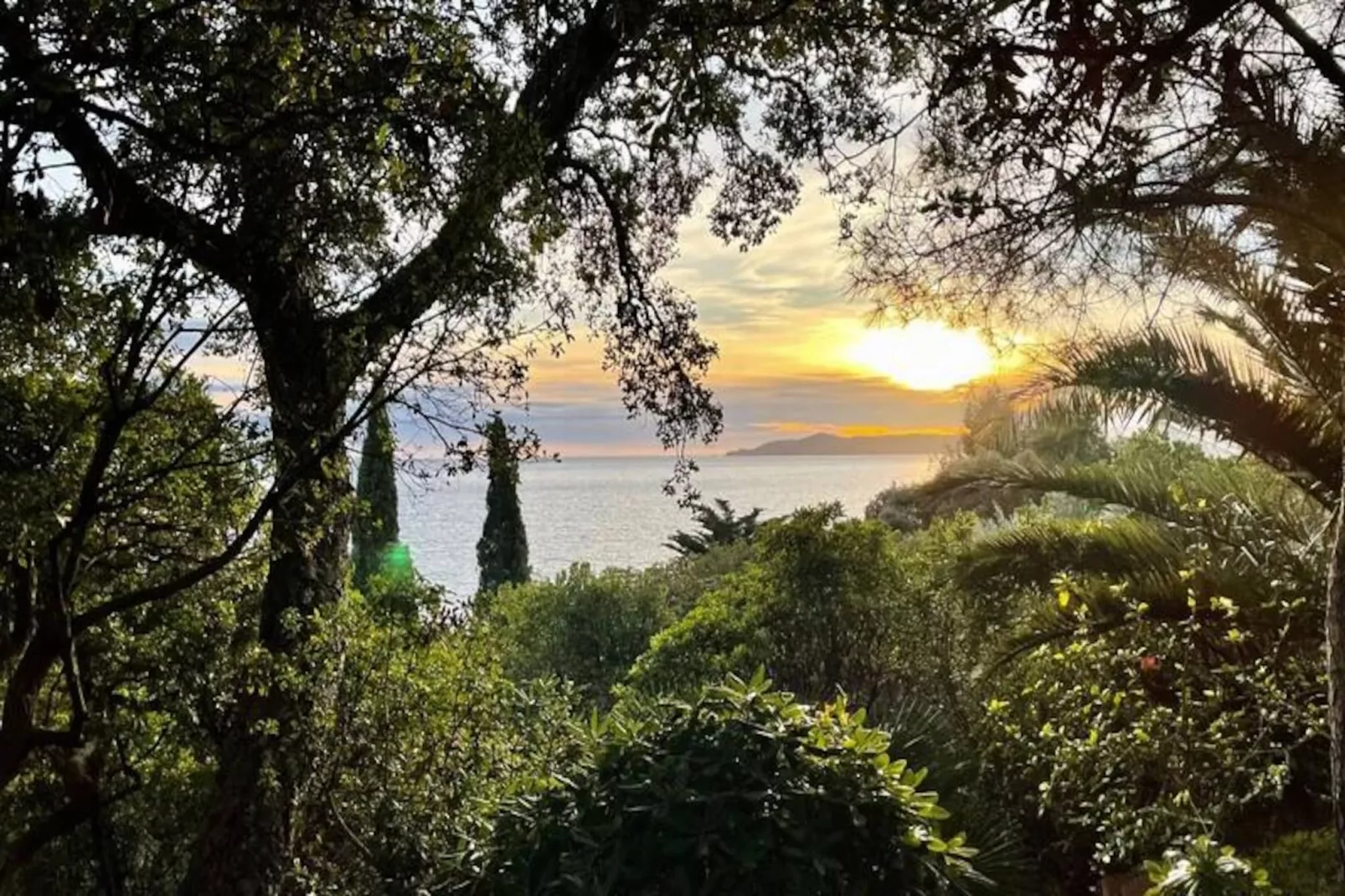 Résidence Un Jardin Au Bord De La M&eacute;diterran&eacute;e-Untagged