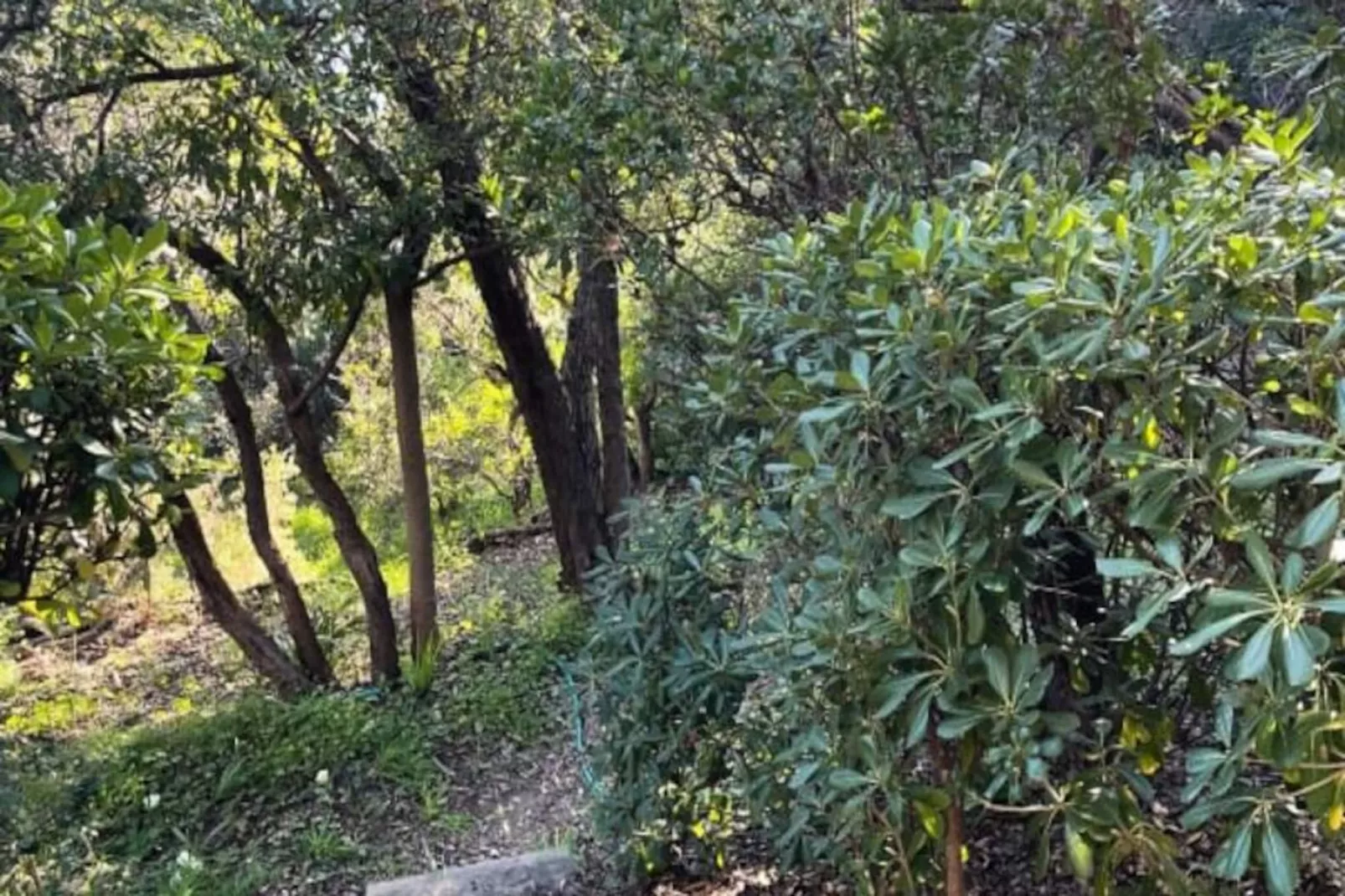Résidence Un Jardin Au Bord De La M&eacute;diterran&eacute;e-Untagged