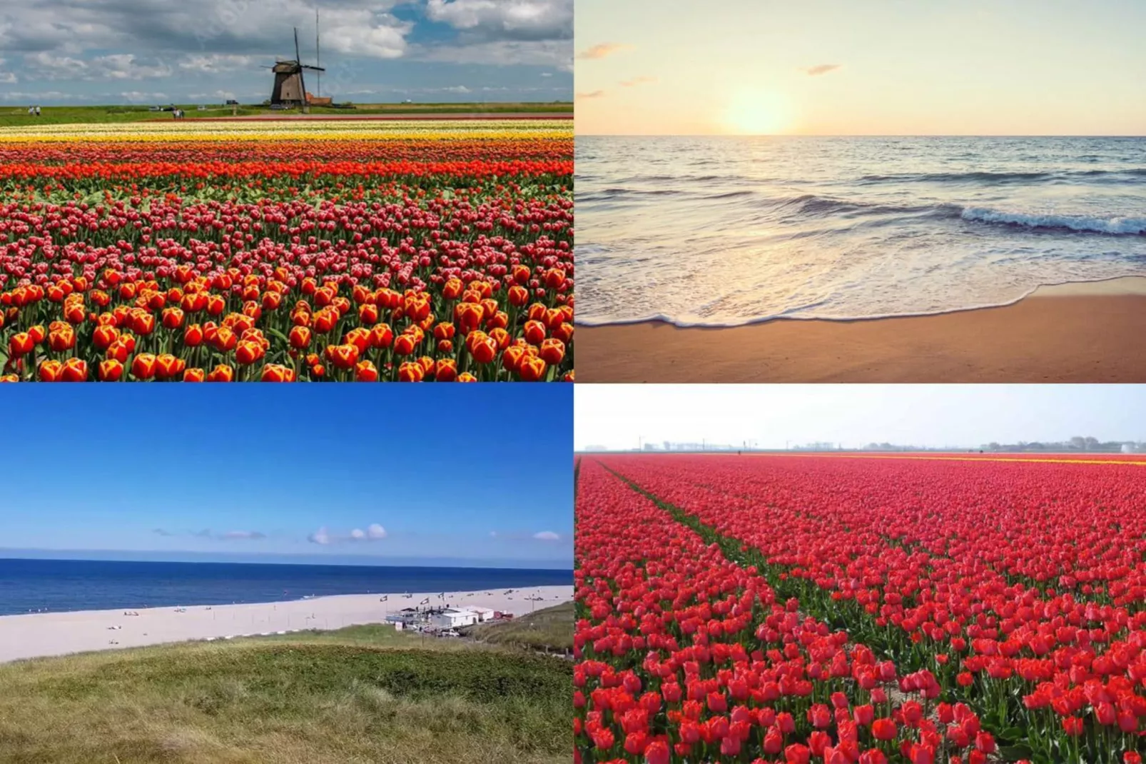 Wijde Blick 011-Nicht zugeordnet