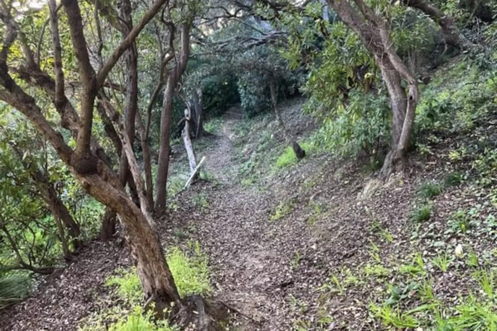 Résidence Un Jardin Au Bord De La M&eacute;diterran&eacute;e-Untagged