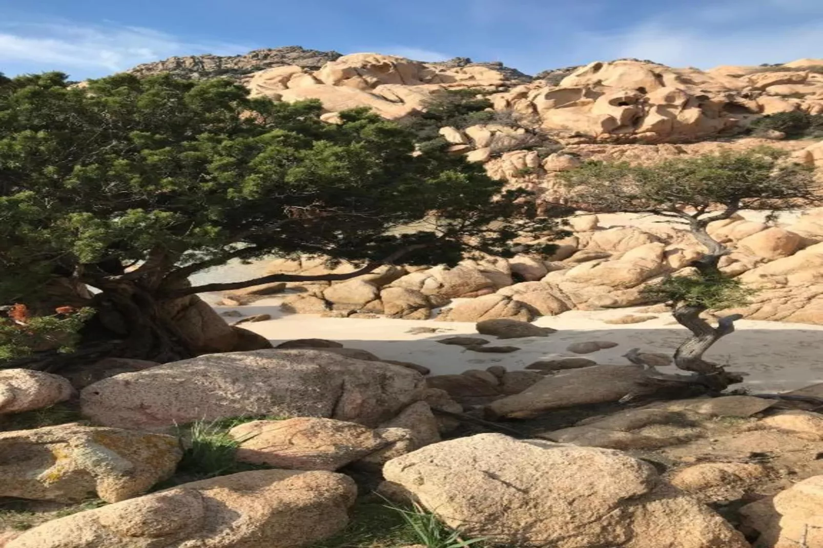 Bellavista 3-Gebiete Sommer 20 km