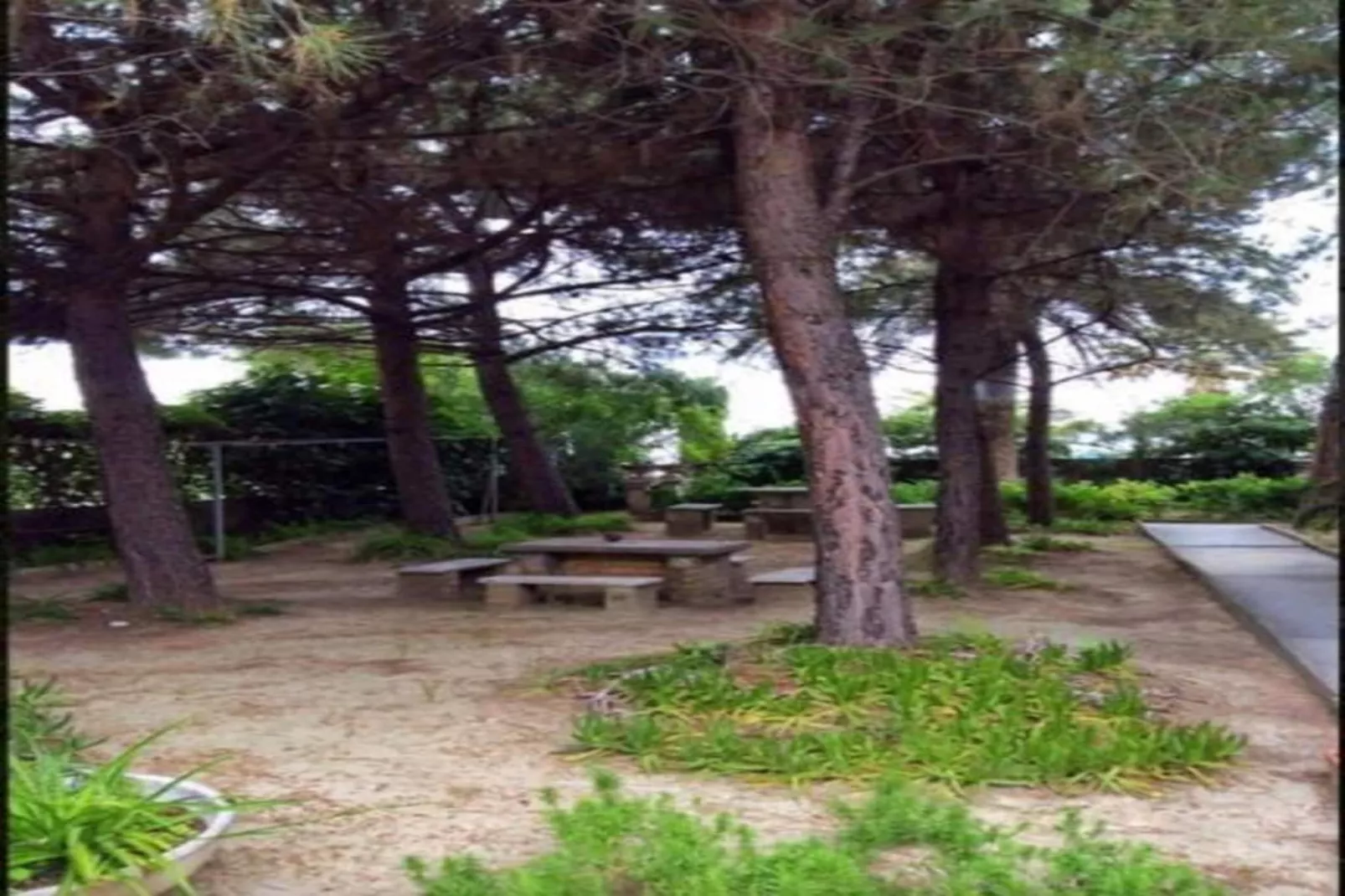 Holiday Club BILO 3-Areas within 20km in summer