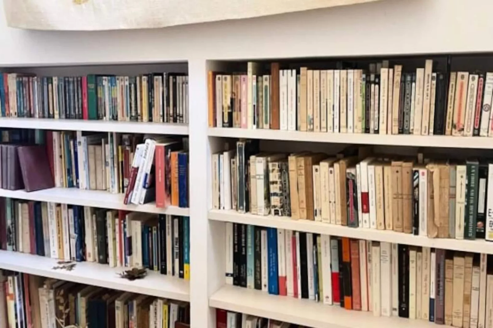 Résidence Un Jardin Au Bord De La M&eacute;diterran&eacute;e-Untagged