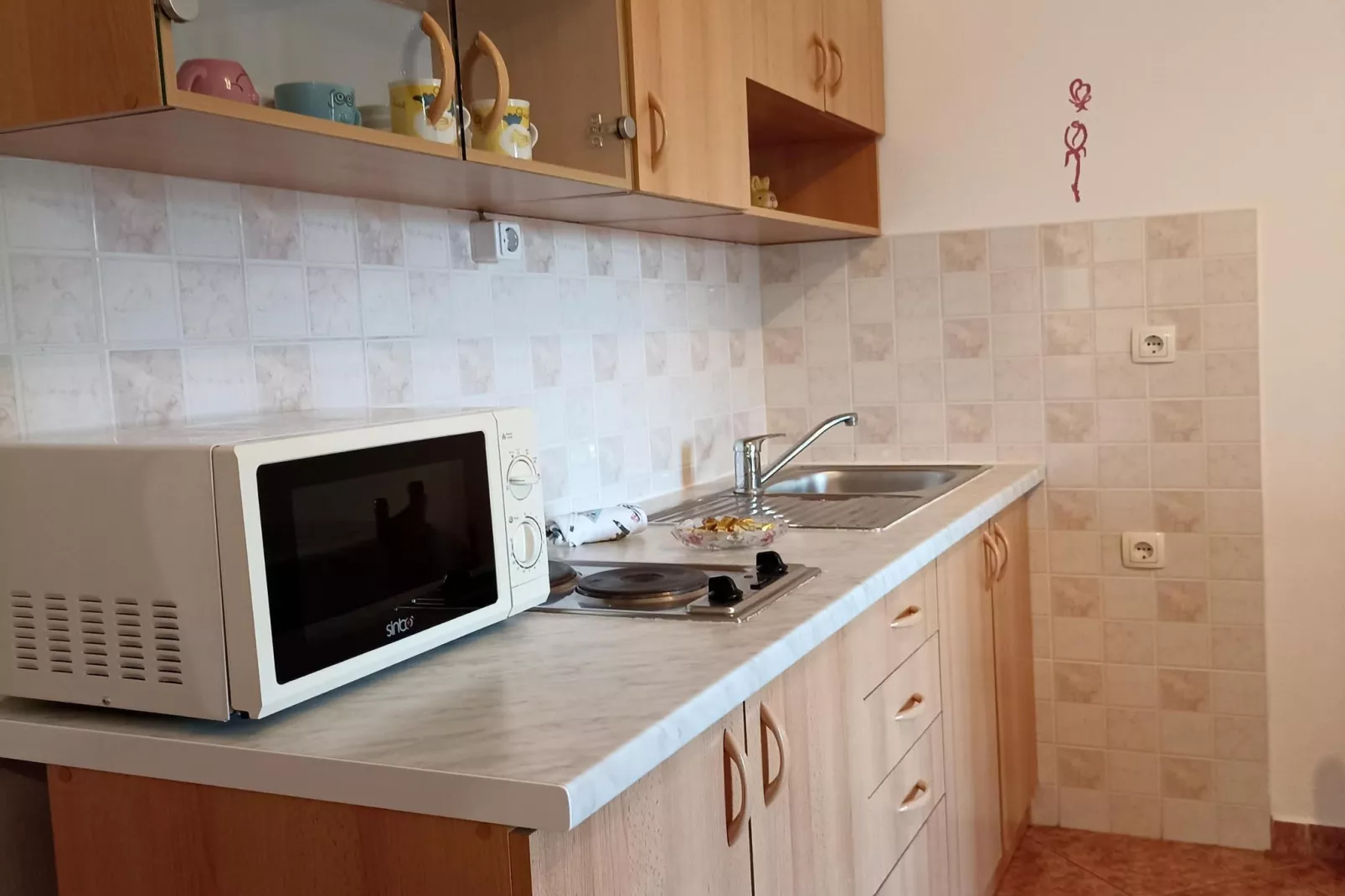 Apartman Biondic DC-Küche