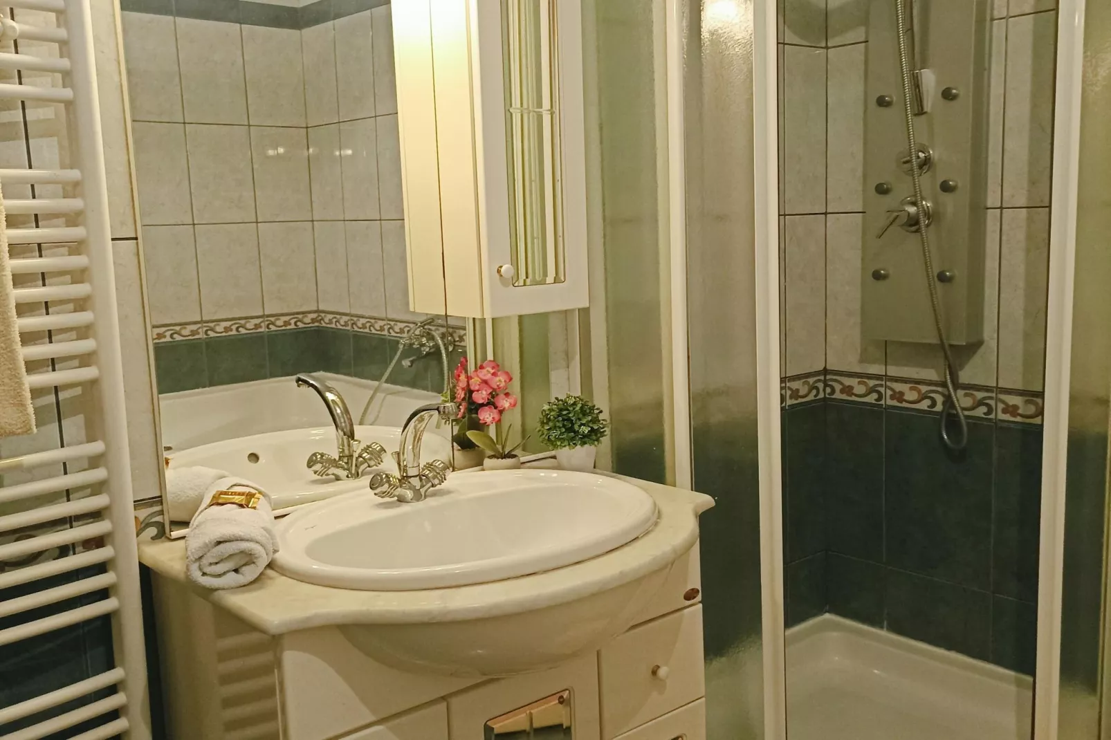 Apartman Biondic DN-Bathroom