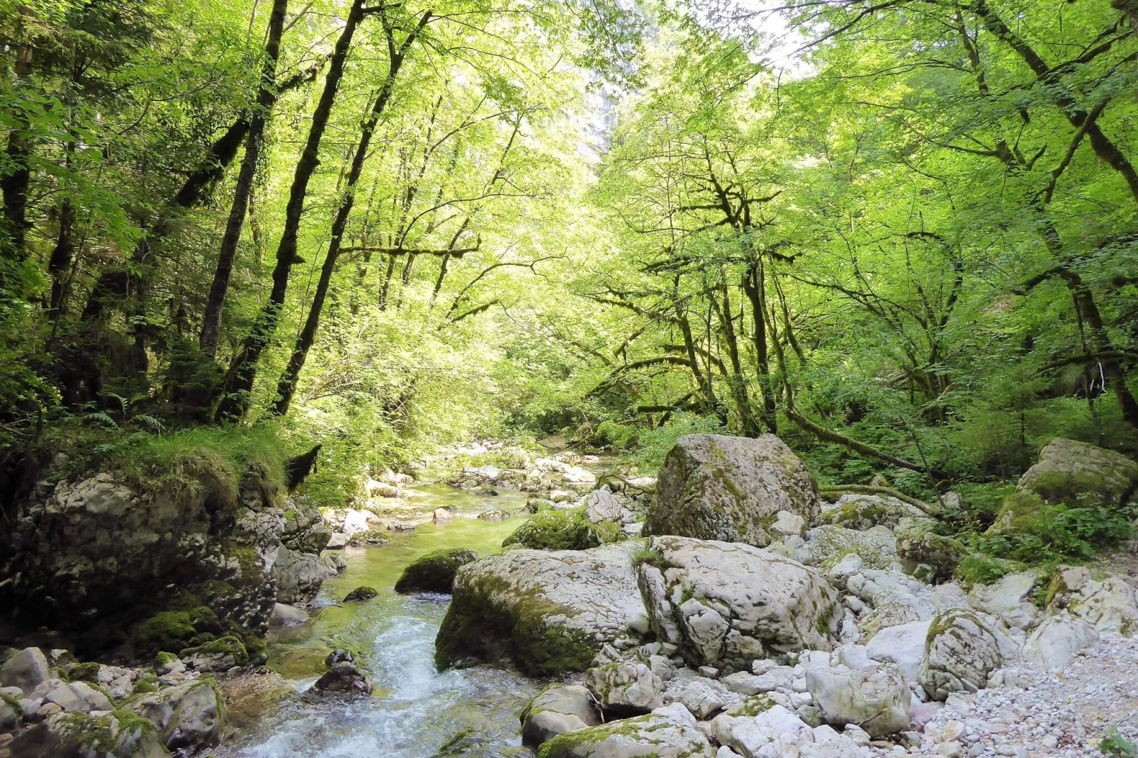Appartamento Glera-Areas summer 5km