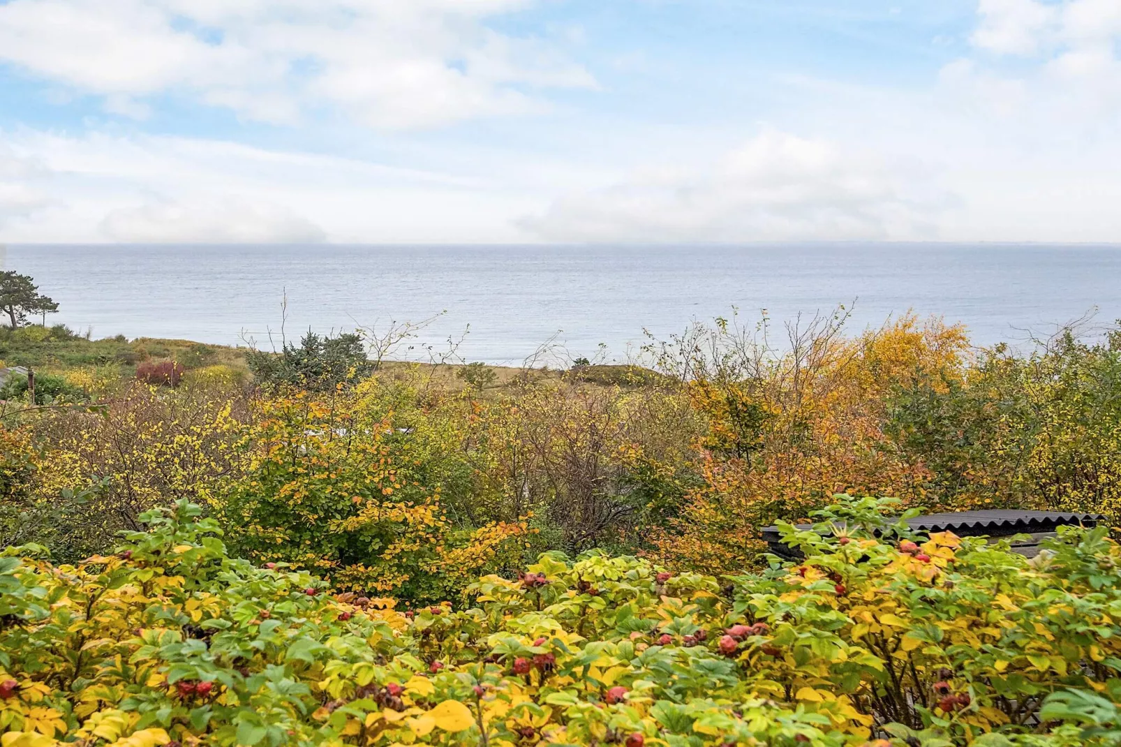 Cottage charmant dans la nature -- By Traum Ferienwohnungen-Vue