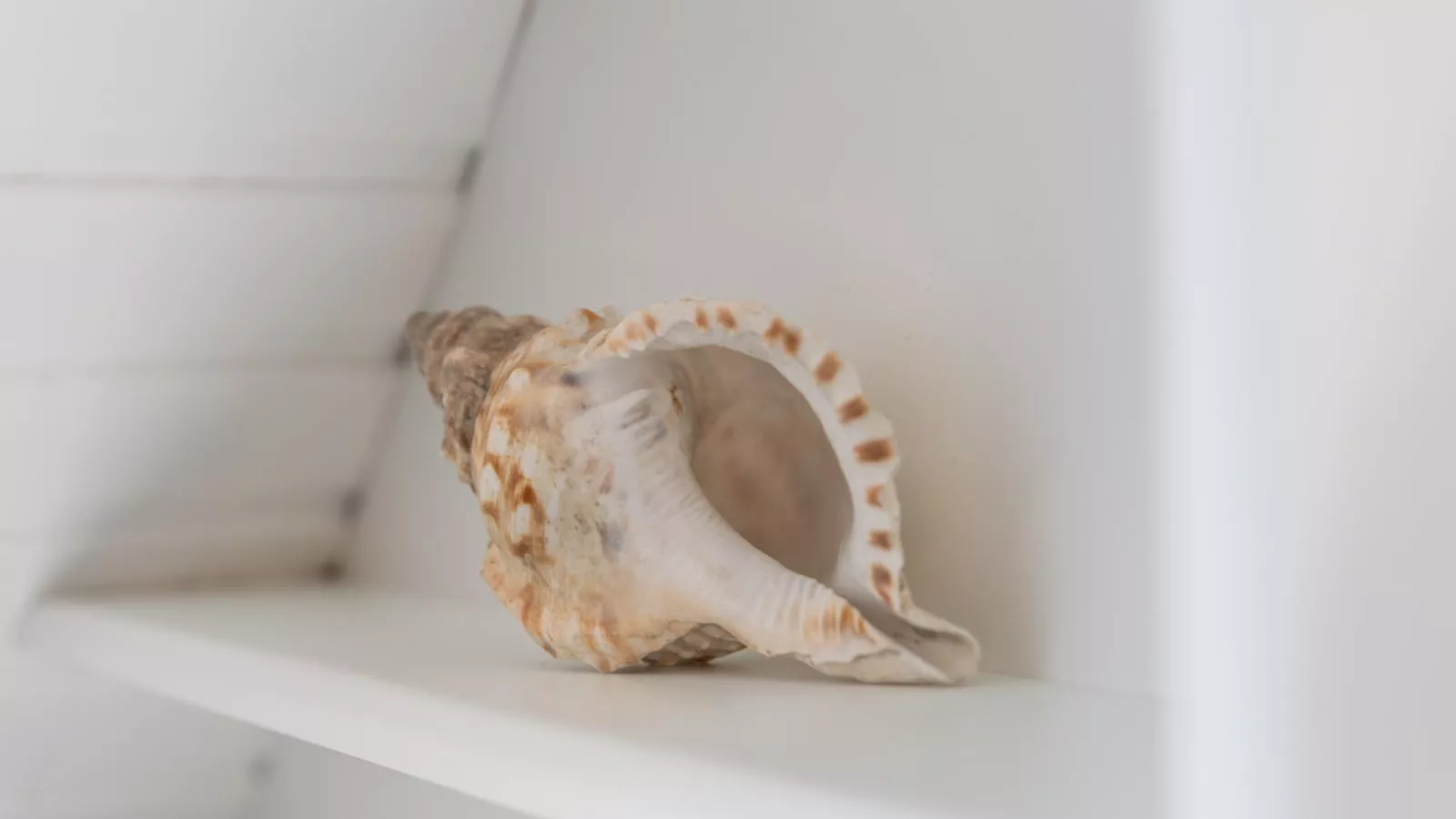 Maison Odille-Ambiente