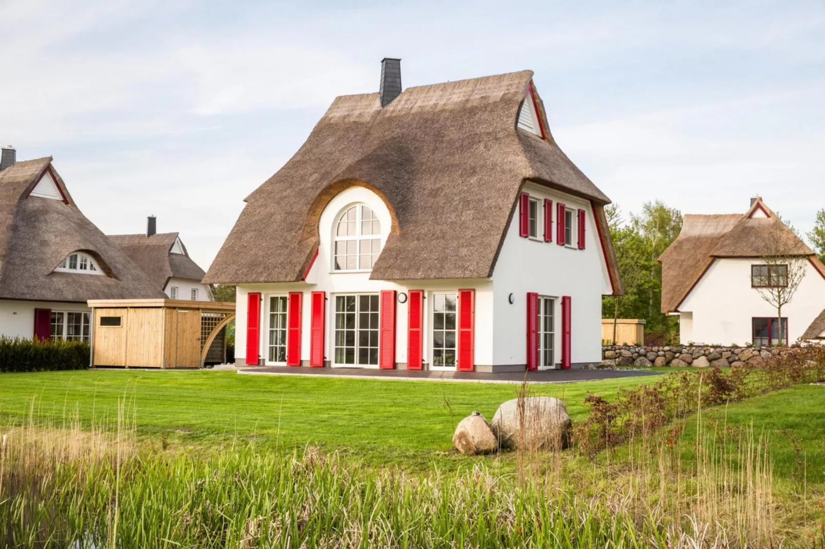 Schilfrohrsänger 26