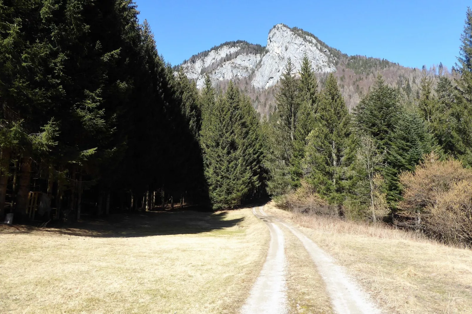 Baita la Ciamorza-Areas within 1km in summer