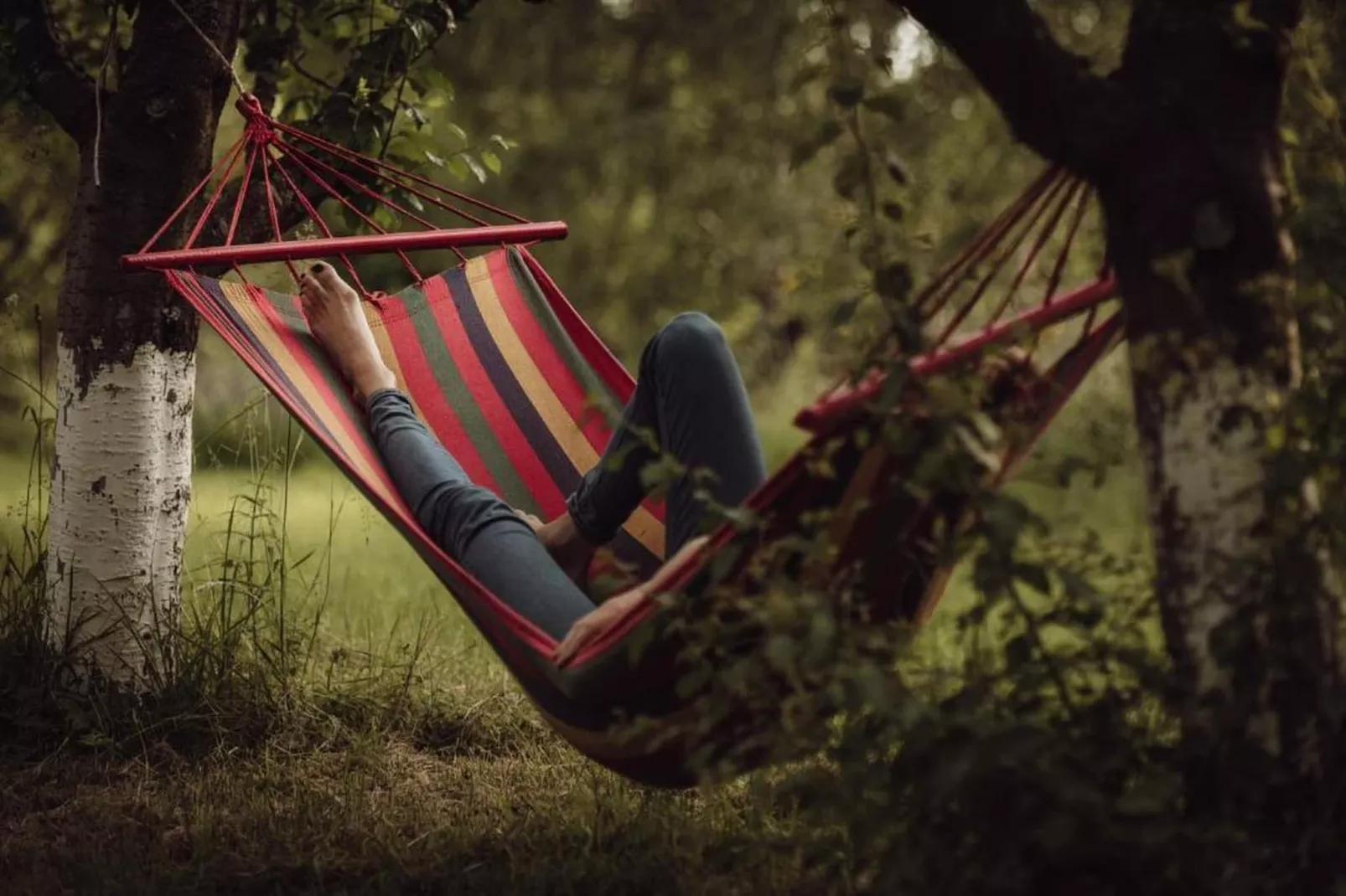 Pokój 3-osobowy na poddaszu Sarbinowo-Gardens in summer