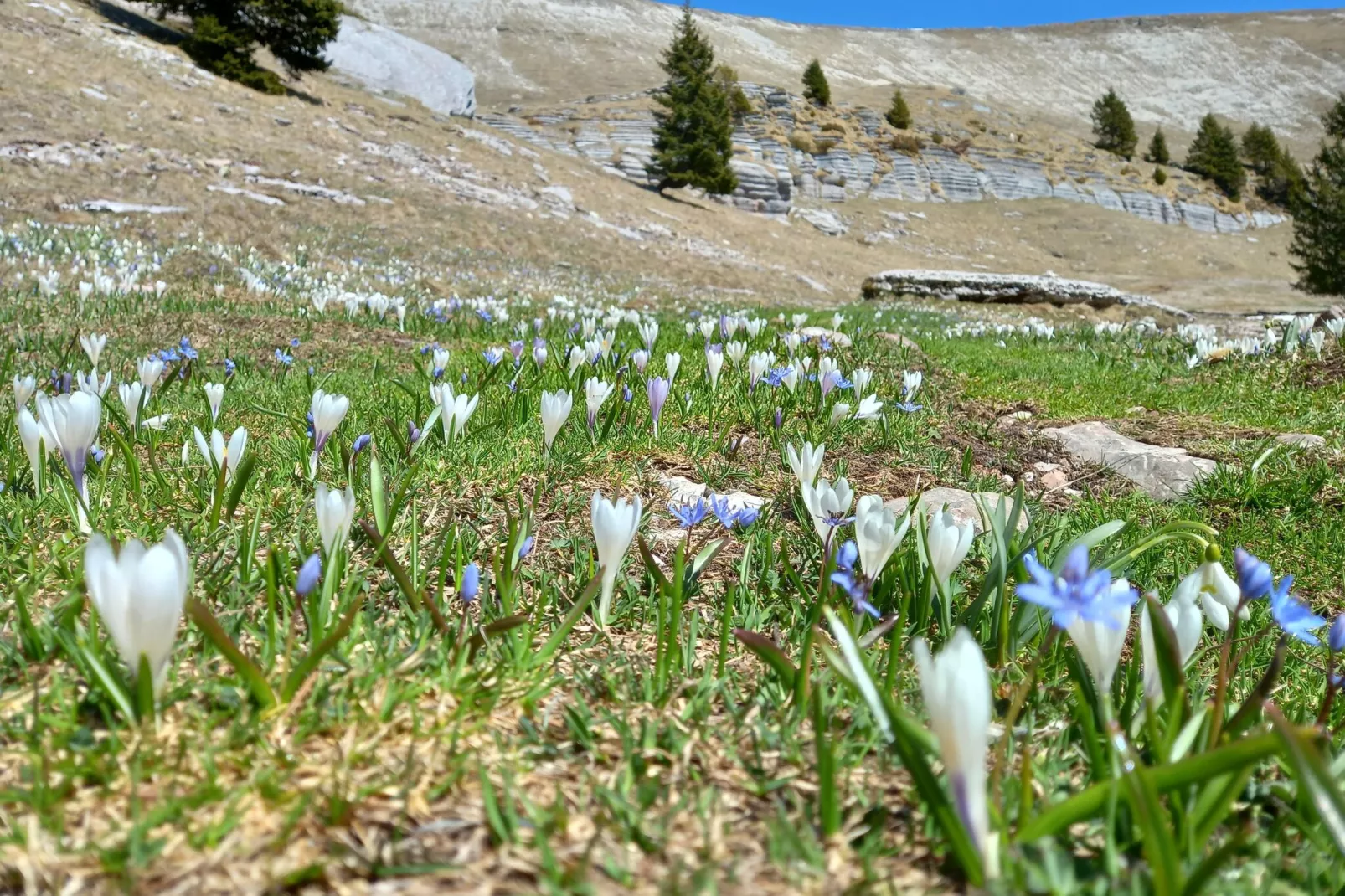 Baita la Ciamorza-Area within 20km in winter