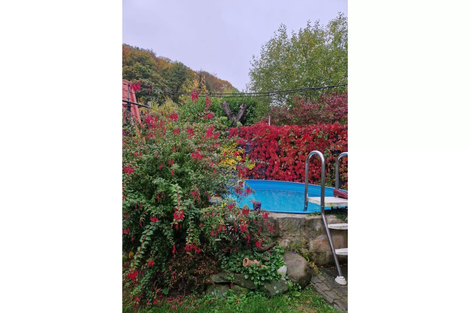 Blankenburg-Swimming pool