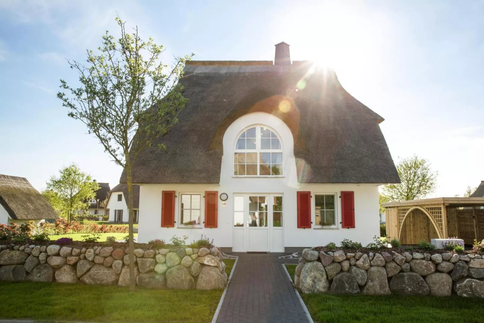 Schilfrohrsänger 26-Exterior in summer