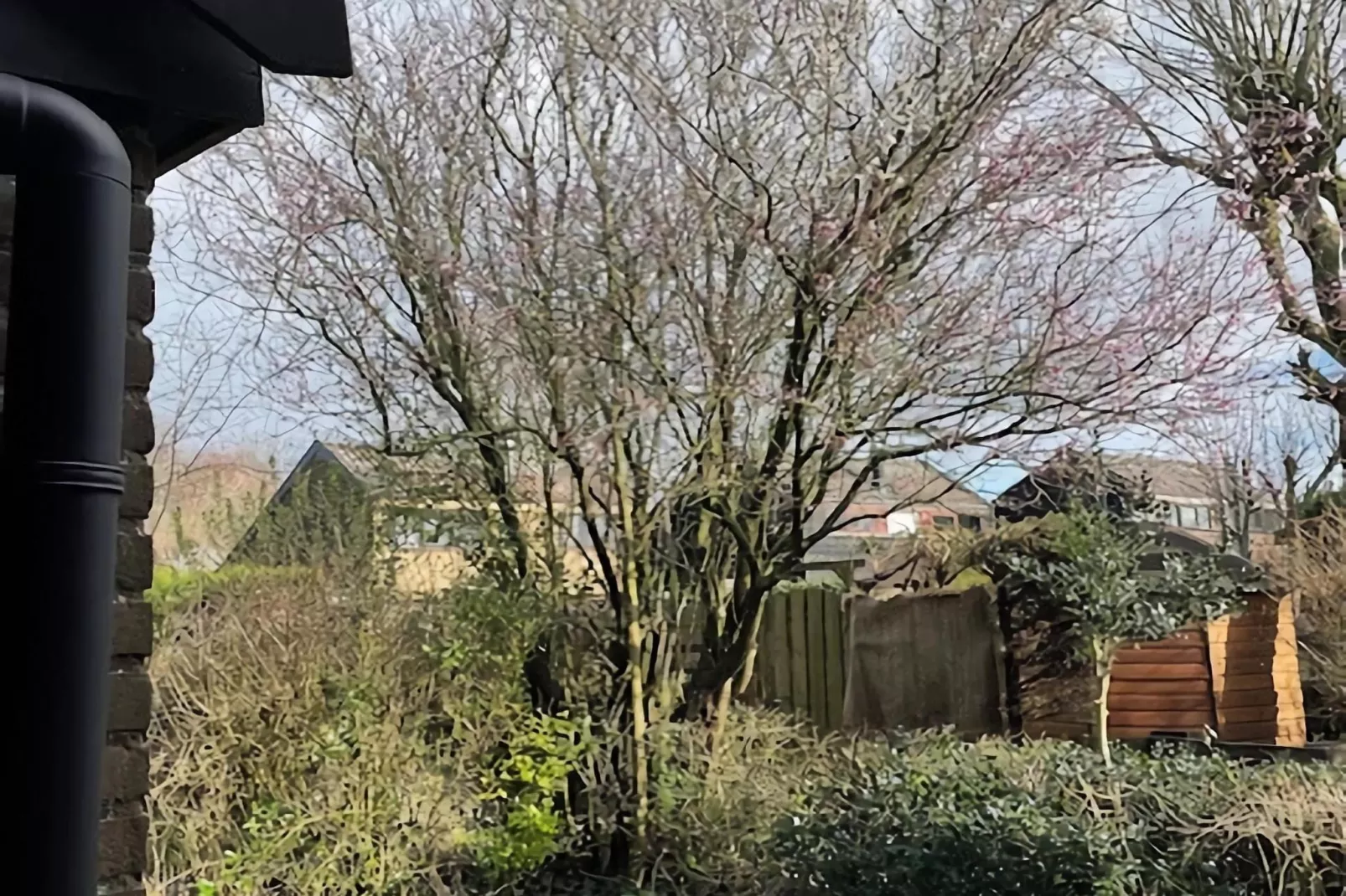 De Reker Zon-Jardins en été