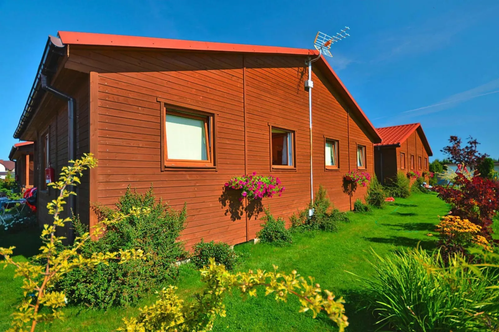 Domki wakacyjne Wicie-Exterior in summer