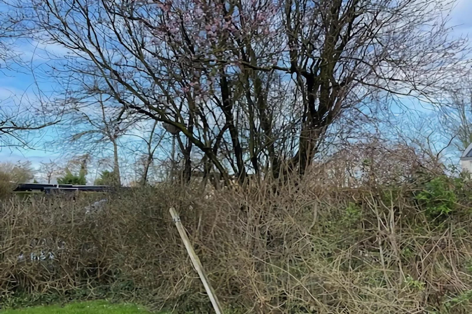 De Reker Zon-Jardins en été