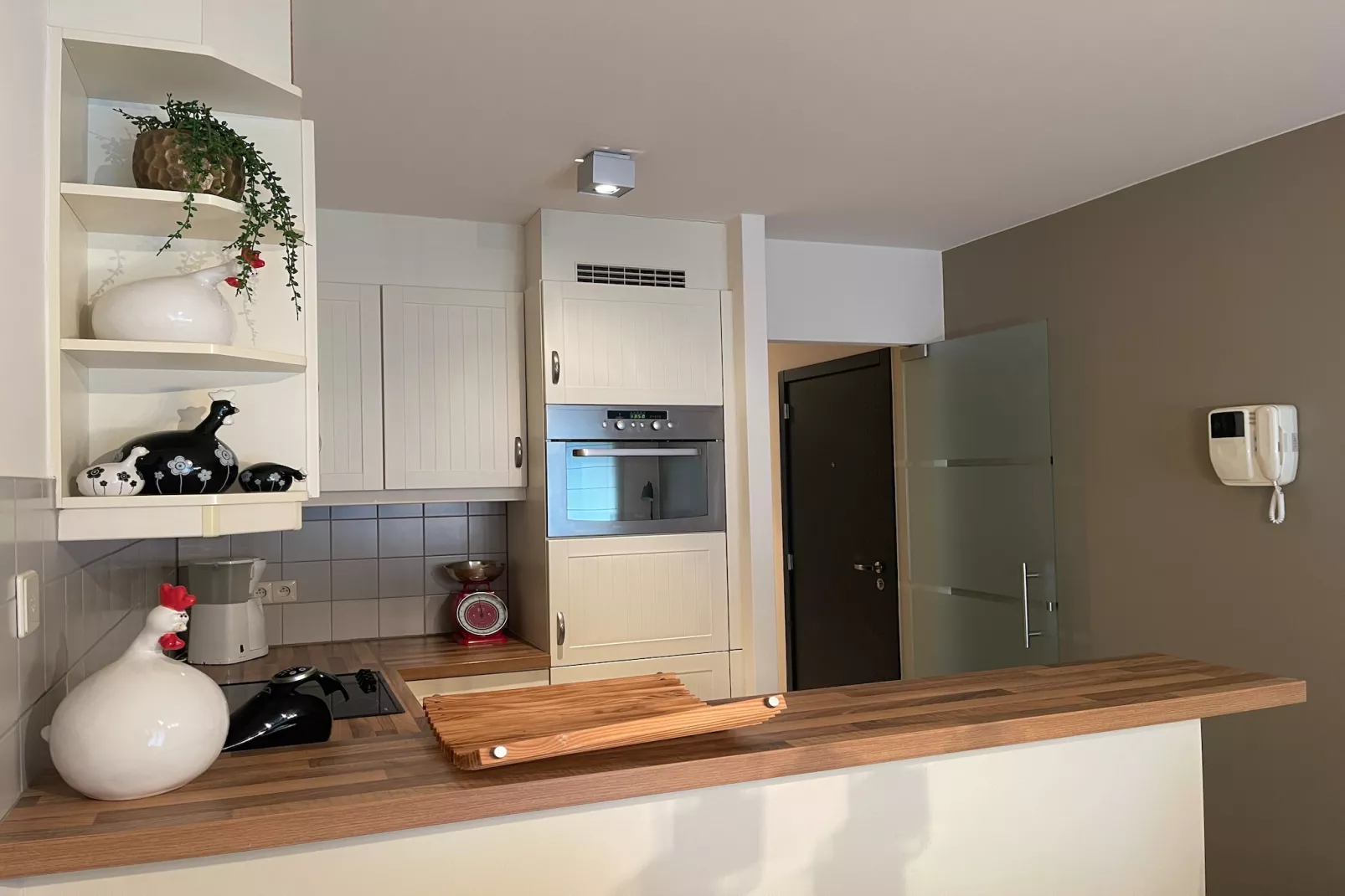 Franslaan 81-Kitchen