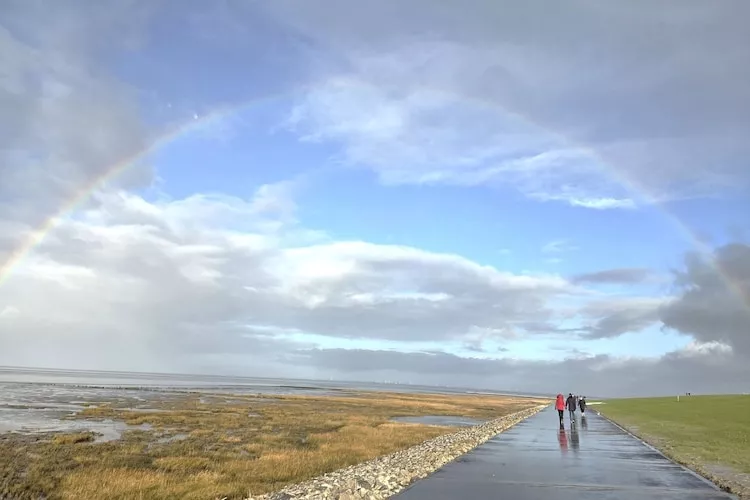Kleiner Steert 11 b-Areas within 1km in summer