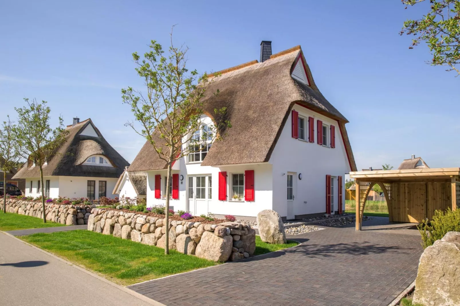 Schilfrohrsänger 26-Exterior in summer