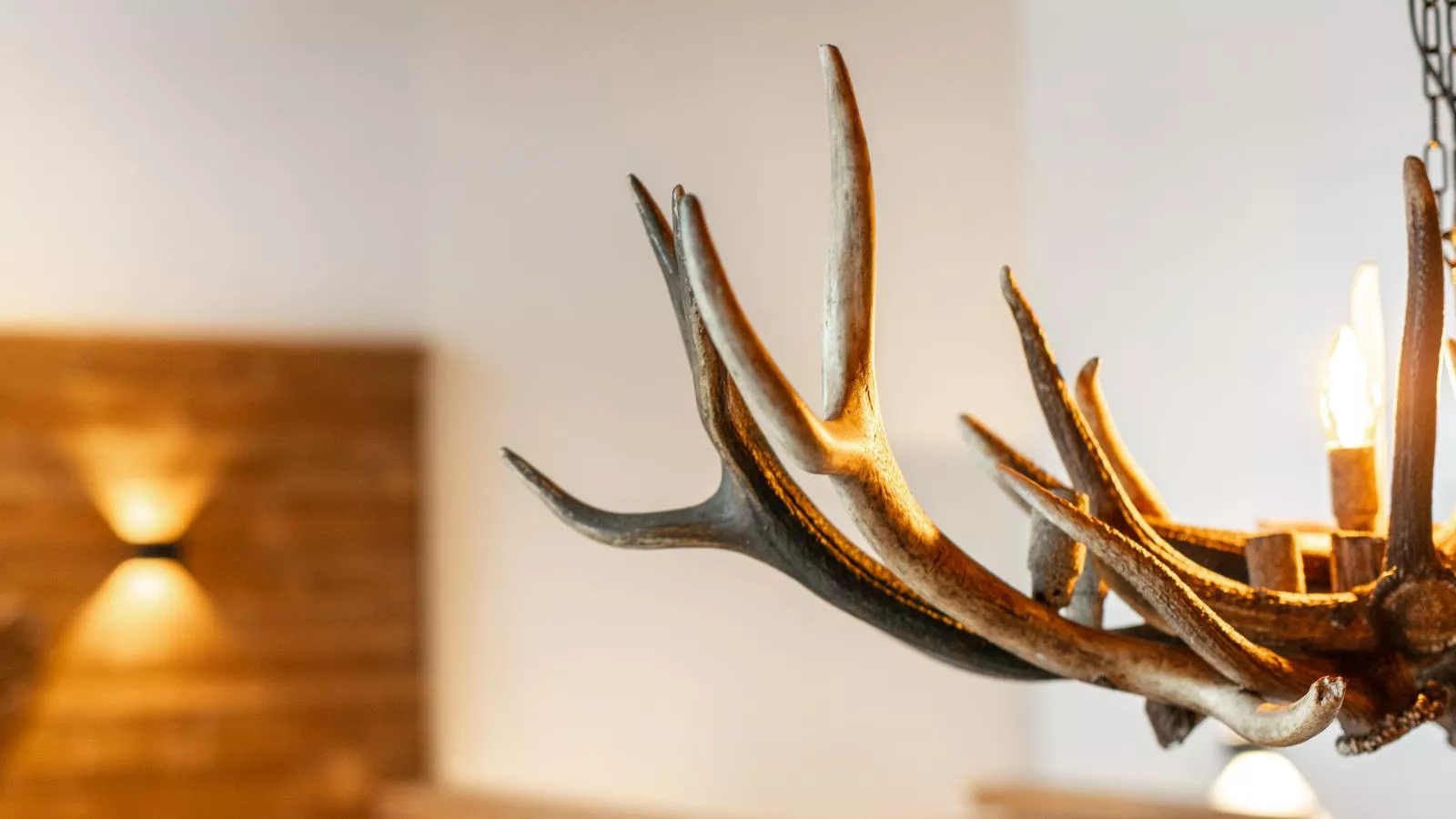 Tauernlodge Eben A2-Ambiance