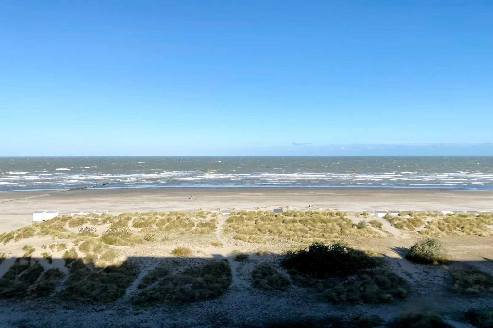 Zeedijk 63-Areas within 1km in summer