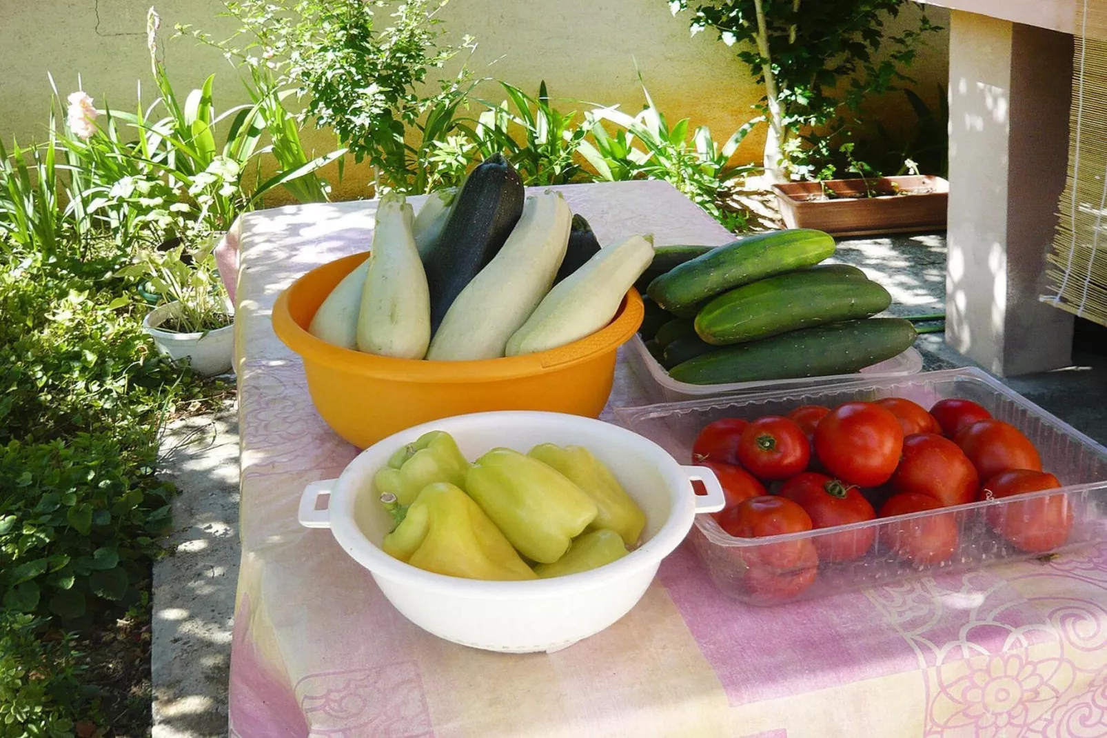 A6 - Apartments Ljilja PrivlakaA6 ca 60 qm bei Belegung mit 5-6 Pers-Ambiance