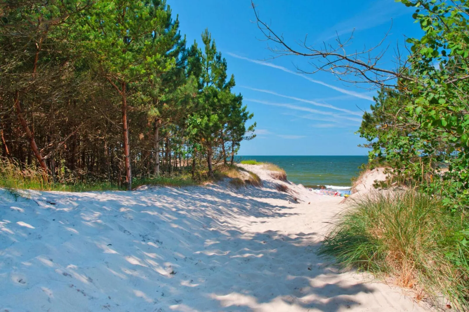 Domki wakacyjne Wicie-Image-tags.water view