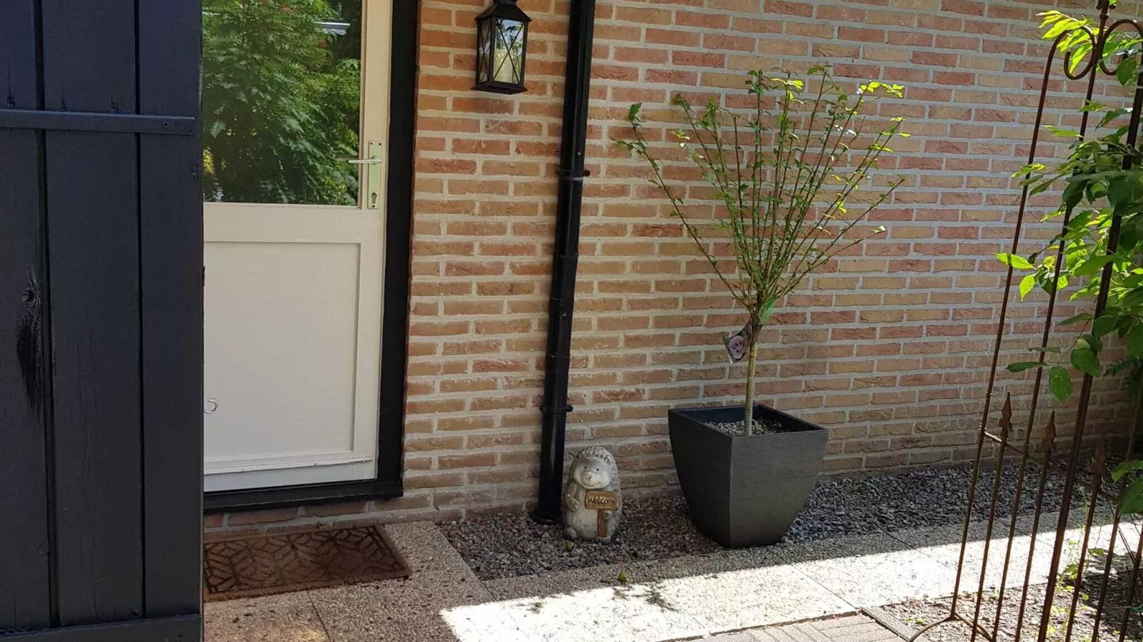 Bungalow Sonnerust - Hall / réception