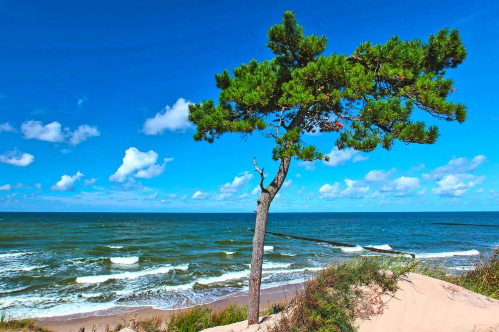 Domki wakacyjne Wicie-View