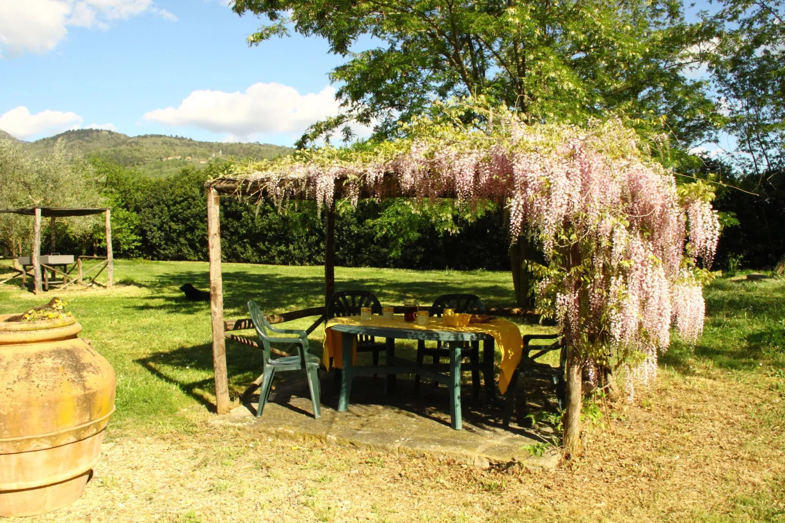 Olequarto-Gardens summer