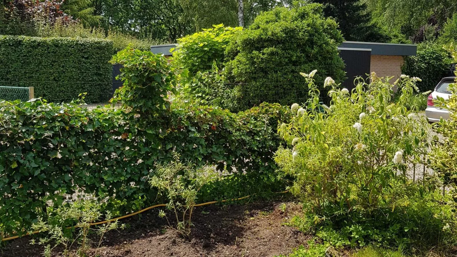 Bungalow Sonnerust - Jardins en été