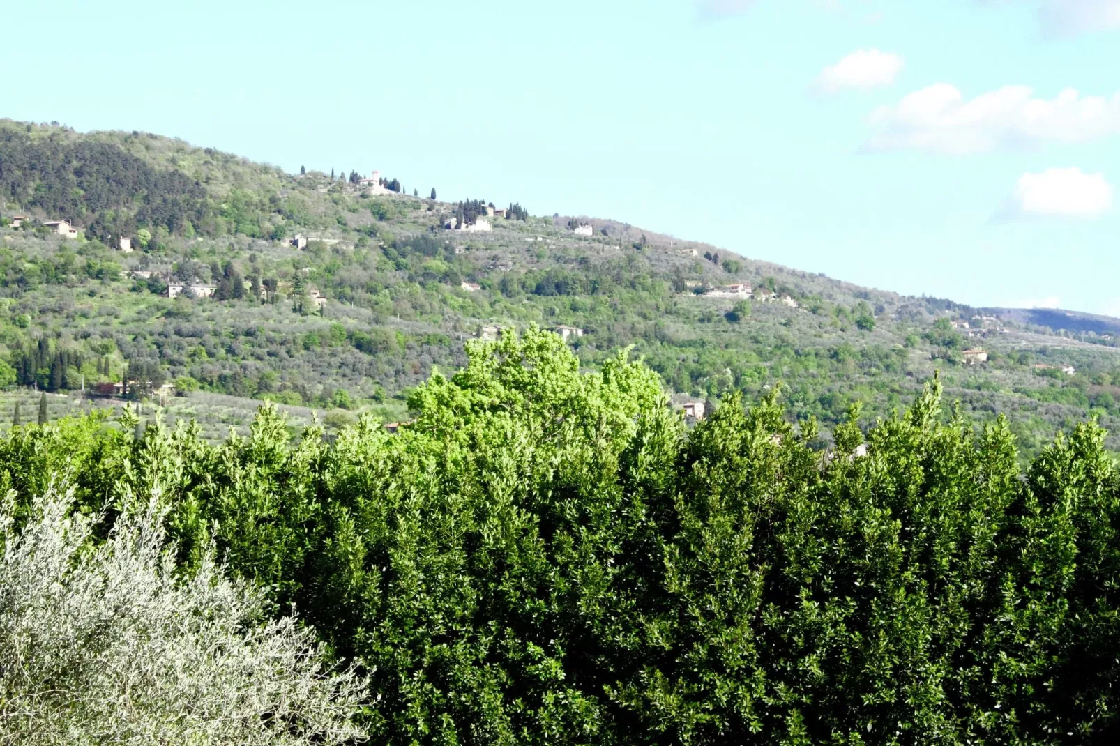 Olequarto-Areas summer 5km